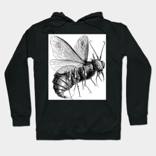 Beelzebub Hoodie